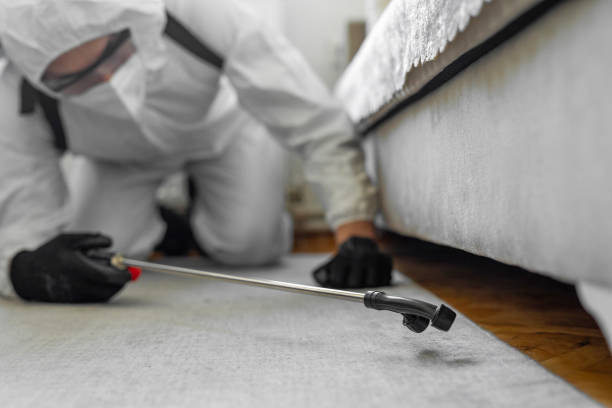 Professional Emergency Pest Control technician working in Fort Clark Springs, TX