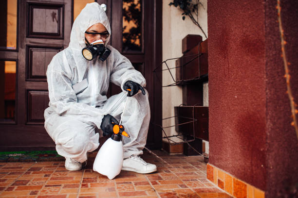 Reliable Emergency Pest Control contractor in Fort Clark Springs, TX by Nex Pest Control